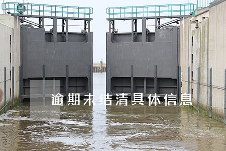 逾期未结清具体信息 逾期未结清具体信息