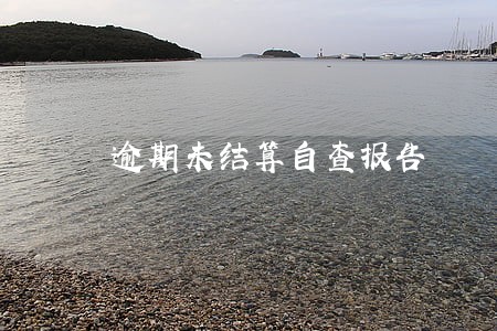 逾期未结算自查报告 逾期未结算自查报告