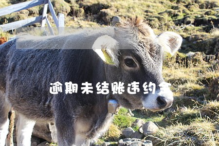 逾期未结账违约金 逾期未结账违约金