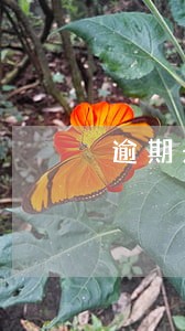 逾期未续签集体合同规定 逾期未续签集体合同规定