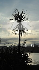 逾期未缴付公司注册 逾期未缴付公司注册