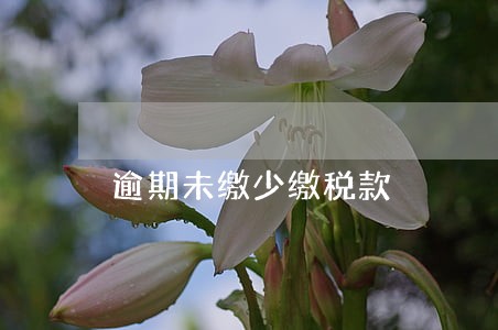 逾期未缴少缴税款 逾期未缴少缴税款
