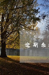 逾期未缴款税款 逾期未缴款税款