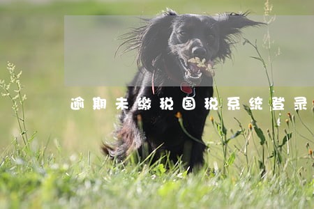 逾期未缴税国税系统登录进去吗 逾期未缴税国税系统登录进去吗