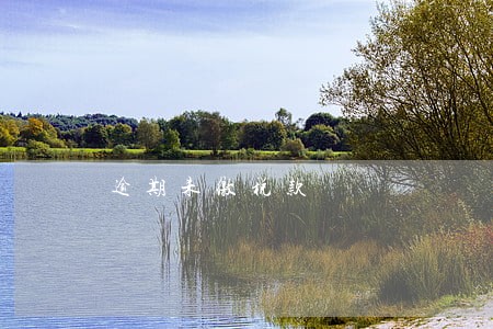 逾期未缴税款 逾期未缴税款