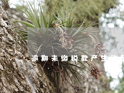 逾期未缴税款产生的影响 逾期未缴税款产生的影响