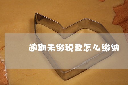逾期未缴税款怎么缴纳 逾期未缴税款怎么缴纳