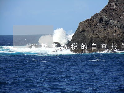 逾期未缴税的自查报告 逾期未缴税的自查报告