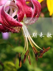 逾期未缴税罚款多少 逾期未缴税罚款多少