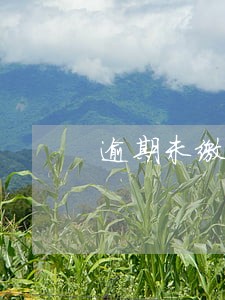 逾期未缴纳个人所得税如何罚款 逾期未缴纳个人所得税如何罚款