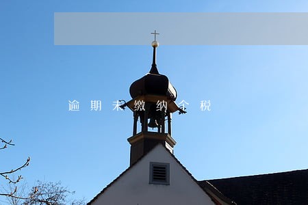 逾期未缴纳个税 逾期未缴纳个税