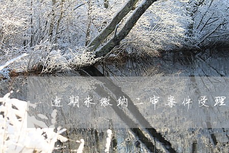逾期未缴纳二审案件受理费 逾期未缴纳二审案件受理费