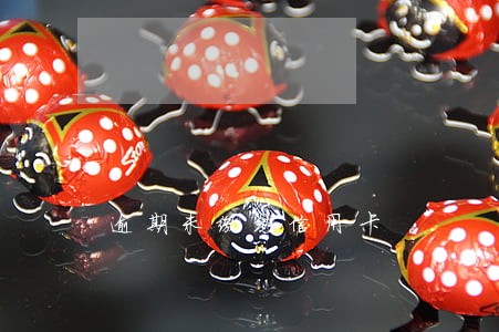 逾期未缴纳信用卡