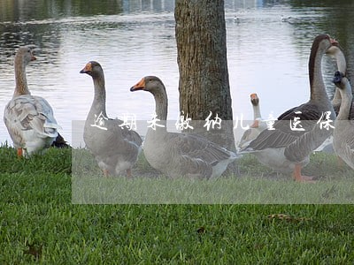 逾期未缴纳儿童医保 逾期未缴纳儿童医保