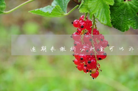 逾期未缴纳公积金可以补缴吗 逾期未缴纳公积金可以补缴吗
