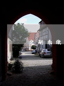 逾期未缴纳加价水费 逾期未缴纳加价水费