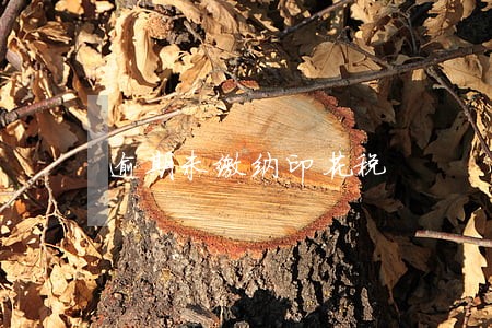 逾期未缴纳印花税 逾期未缴纳印花税