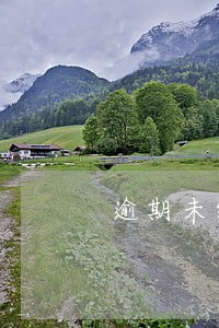 逾期未缴纳发明专利年费 逾期未缴纳发明专利年费