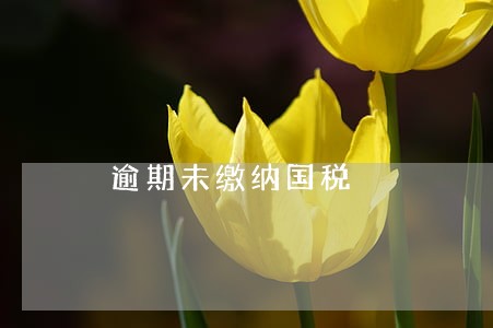逾期未缴纳国税 逾期未缴纳国税