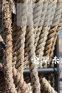 逾期未缴纳培训班学费 逾期未缴纳培训班学费