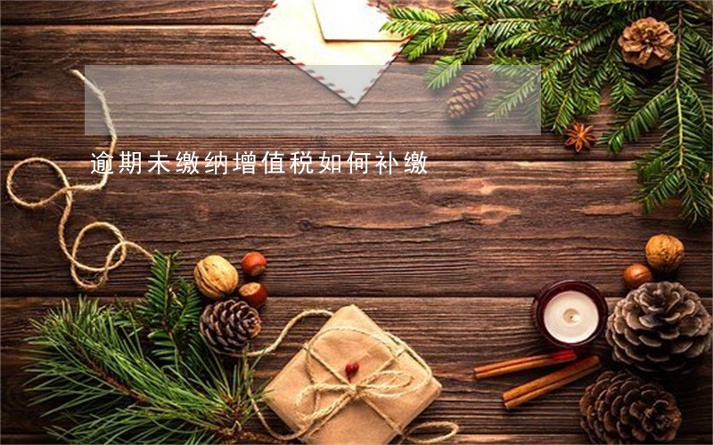 逾期未缴纳增值税如何补缴 逾期未缴纳增值税如何补缴