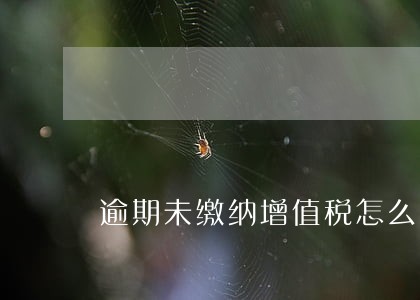 逾期未缴纳增值税怎么收取滞纳金 逾期未缴纳增值税怎么收取滞纳金