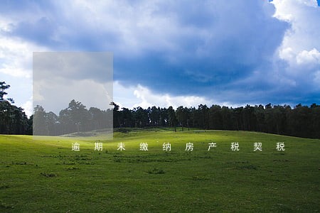逾期未缴纳房产税契税 逾期未缴纳房产税契税