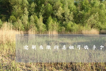 逾期未缴纳房租可收多少滞纳金 逾期未缴纳房租可收多少滞纳金
