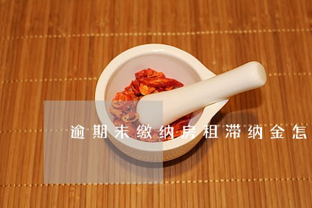 逾期未缴纳房租滞纳金怎么算 逾期未缴纳房租滞纳金怎么算
