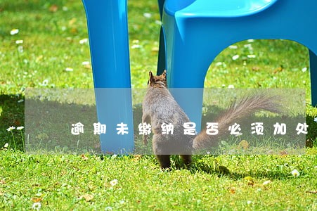 逾期未缴纳是否必须加处罚款