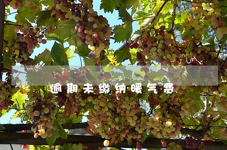 逾期未缴纳暖气费