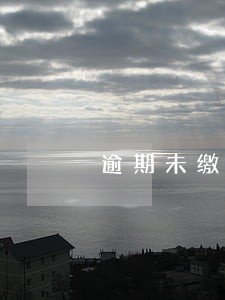 逾期未缴纳残疾人保障金的 逾期未缴纳残疾人保障金的
