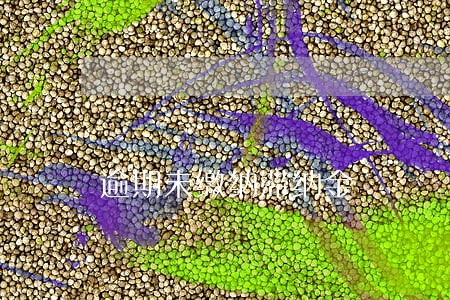 逾期未缴纳滞纳金 逾期未缴纳滞纳金