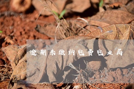 逾期未缴纳电费电业局 逾期未缴纳电费电业局
