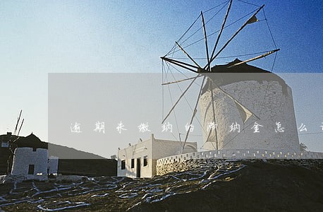 逾期未缴纳的滞纳金怎么计算 逾期未缴纳的滞纳金怎么计算