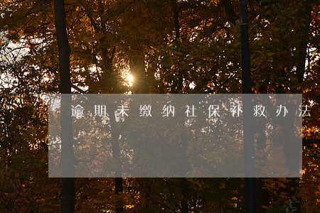 逾期未缴纳社保补救办法 逾期未缴纳社保补救办法