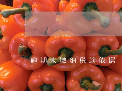 逾期未缴纳税款依据 逾期未缴纳税款依据