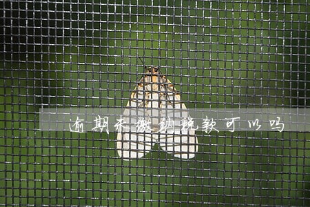 逾期未缴纳税款可以吗 逾期未缴纳税款可以吗