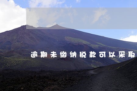 逾期未缴纳税款可以采取的措施有 逾期未缴纳税款可以采取的措施有