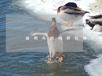 逾期未缴纳税款属于哪一条 逾期未缴纳税款属于哪一条