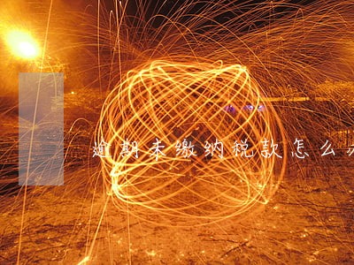 逾期未缴纳税款怎么办 逾期未缴纳税款怎么办