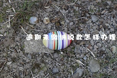 逾期未缴纳税款怎样办理 逾期未缴纳税款怎样办理