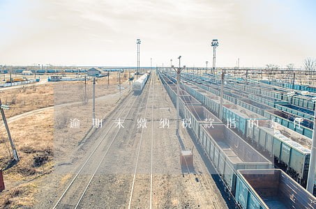 逾期未缴纳税款指的是什么 逾期未缴纳税款指的是什么