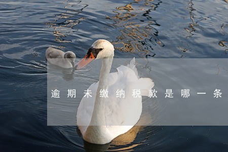 逾期未缴纳税款是哪一条 逾期未缴纳税款是哪一条