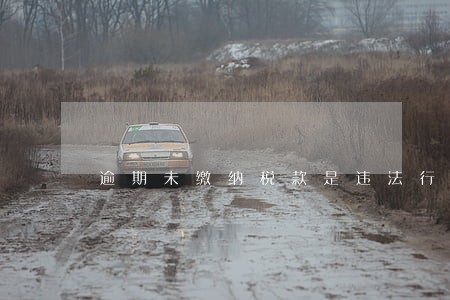逾期未缴纳税款是违法行为不 逾期未缴纳税款是违法行为不