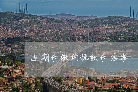逾期未缴纳税款未结案 逾期未缴纳税款未结案