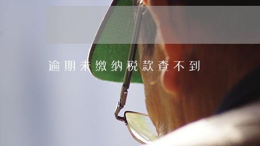 逾期未缴纳税款查不到