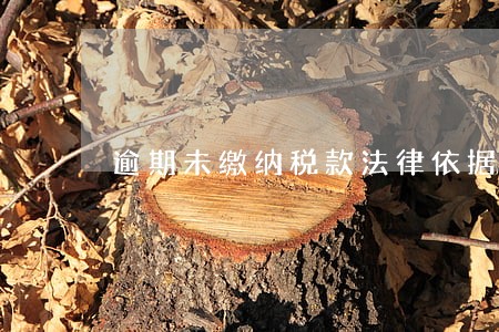 逾期未缴纳税款法律依据 逾期未缴纳税款法律依据