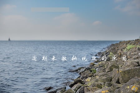 逾期未缴纳税款的原因 逾期未缴纳税款的原因