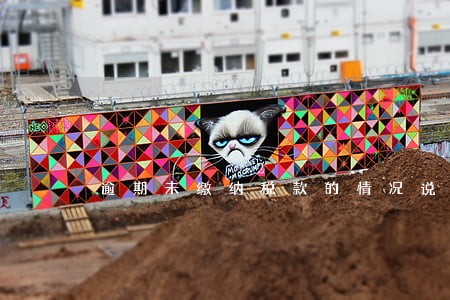 逾期未缴纳税款的情况说明 逾期未缴纳税款的情况说明